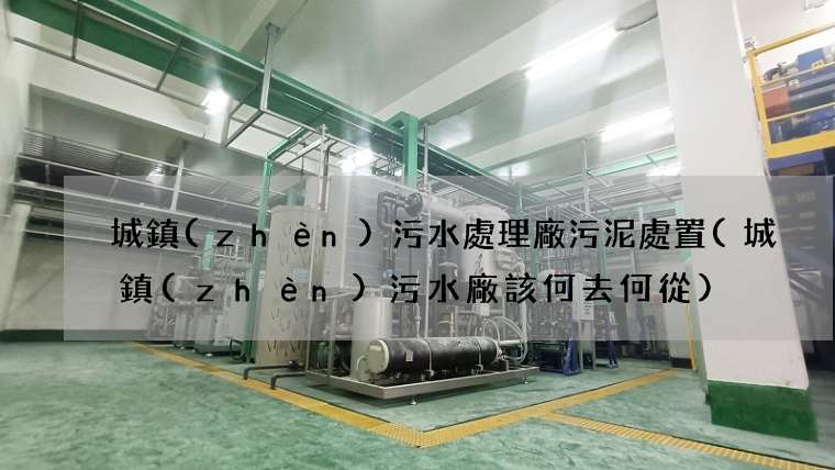 城鎮(zhèn)污水處理廠污泥處置(城鎮(zhèn)污水廠該何去何從)